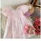 Pretty Pastle Party Dress Pink-1