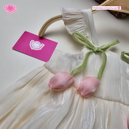 Website-Image_TBC1 Website-Image_TBC1